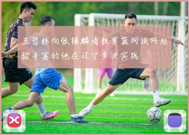 王哲林向张镇麟请教剪篮网技巧经验丰富的他在辽宁多次实践