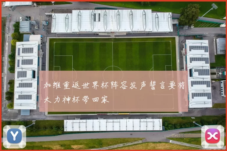 加维重返世界杯阵容发声誓言要将大力神杯带回家